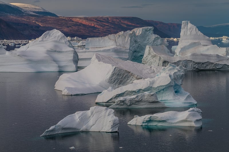 Rare Relics Expedition